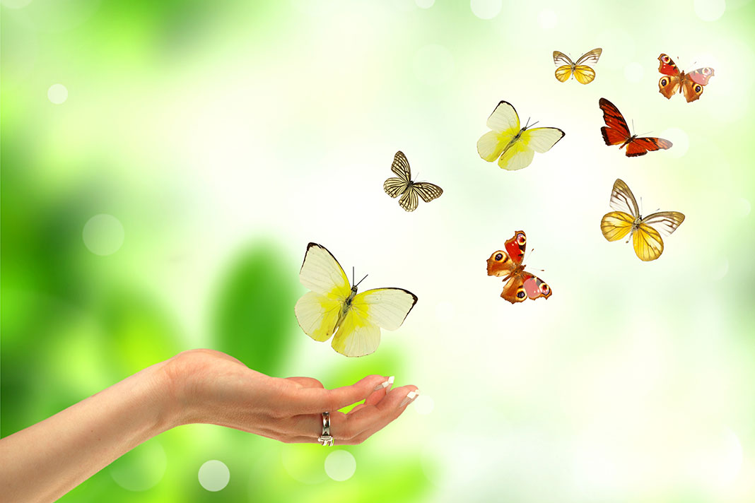 جملات شفا بخش