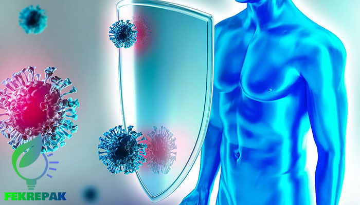 خواص سرکه سیب